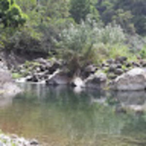 Meet your Posher, Udochi